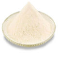 The Fine Quality Flavor Of Milk Powder Milk And Vanilla Powder